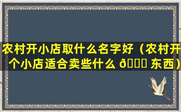 农村开小店取什么名字好（农村开个小店适合卖些什么 🐎 东西）